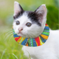 Preview: Birdsbesafe® Katzen-Halskrause Wavy