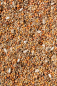 Preview: Wildsamen Premium 700 g