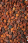 Preview: Ebereschenbeeren getrocknet