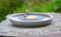 Preview: Insektenstation Granicium®