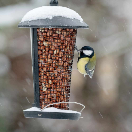 Preview: Futtersäule Edessa "Duo"