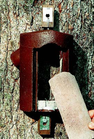 Schwegler Baumläuferhöhle 2B