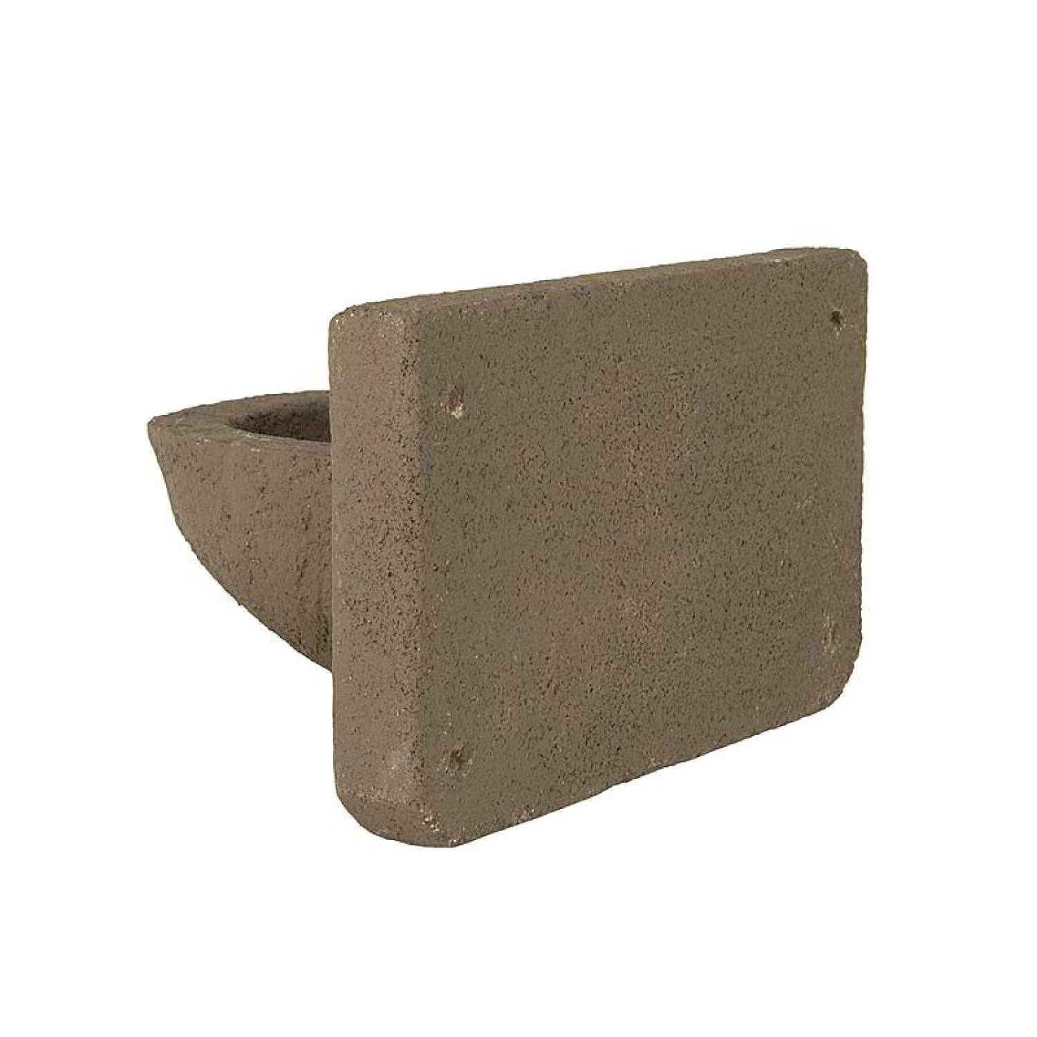 KN BZ 02 Nest Rauchschwalbe