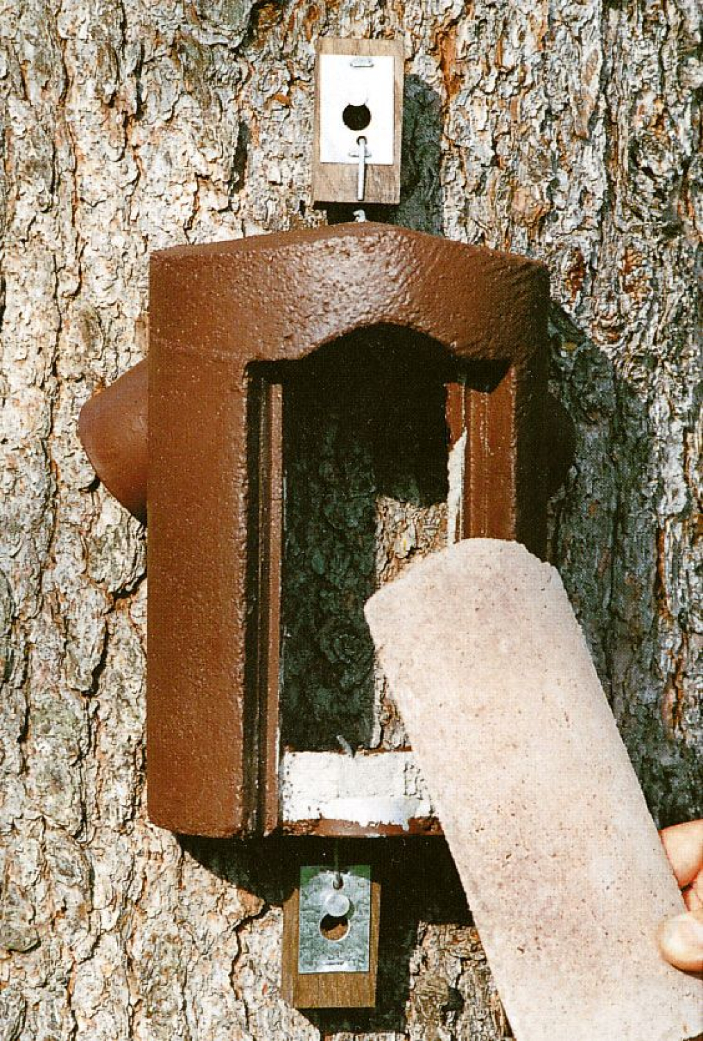 Schwegler Baumläuferhöhle 2B