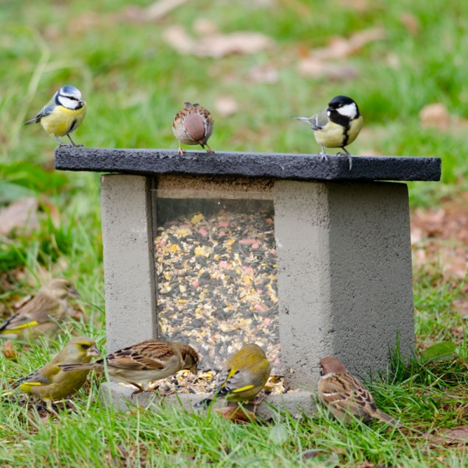 Boden-Futterstation Woodstone