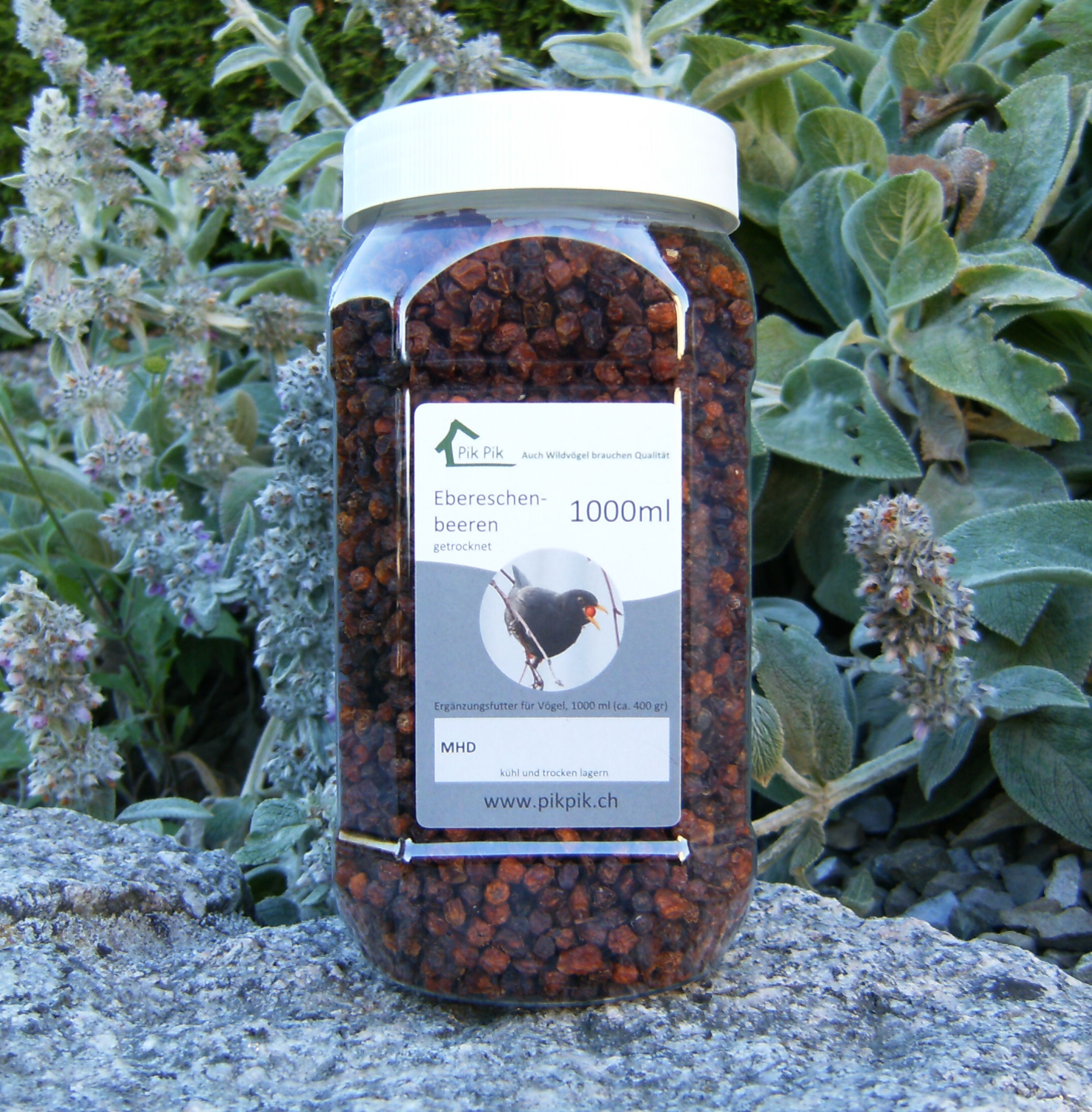 Ebereschenbeeren getrocknet