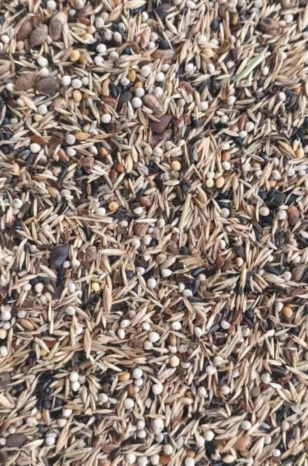 Finkenmischung (Kleinsämereien) 2 kg