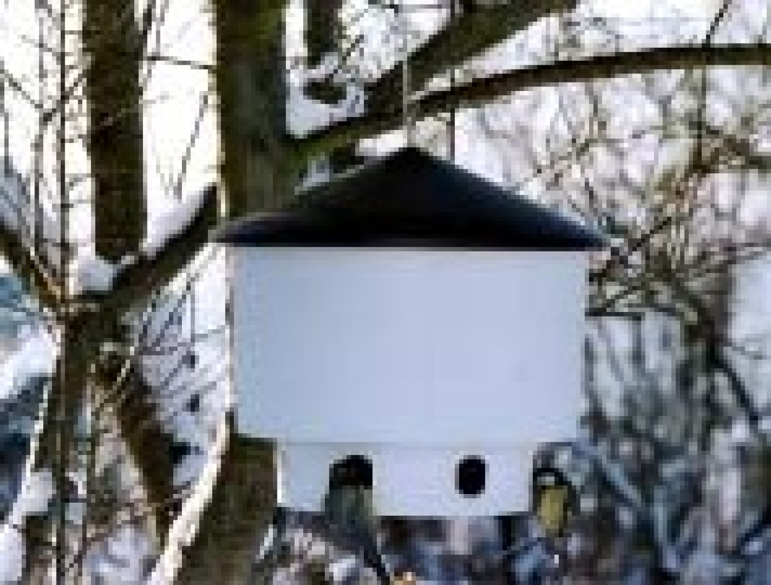 Futtersilo Nr. 8 von Schwegler (13 l)
