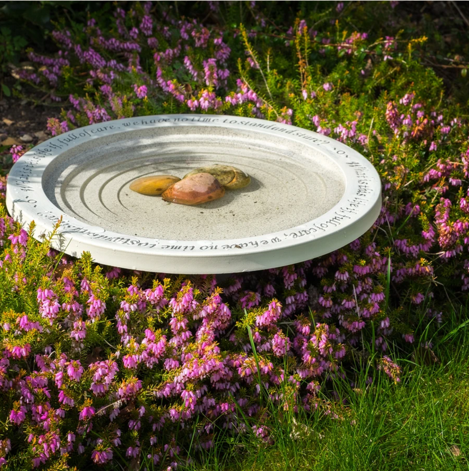 Vogeltränke auf kleinem Standfuss