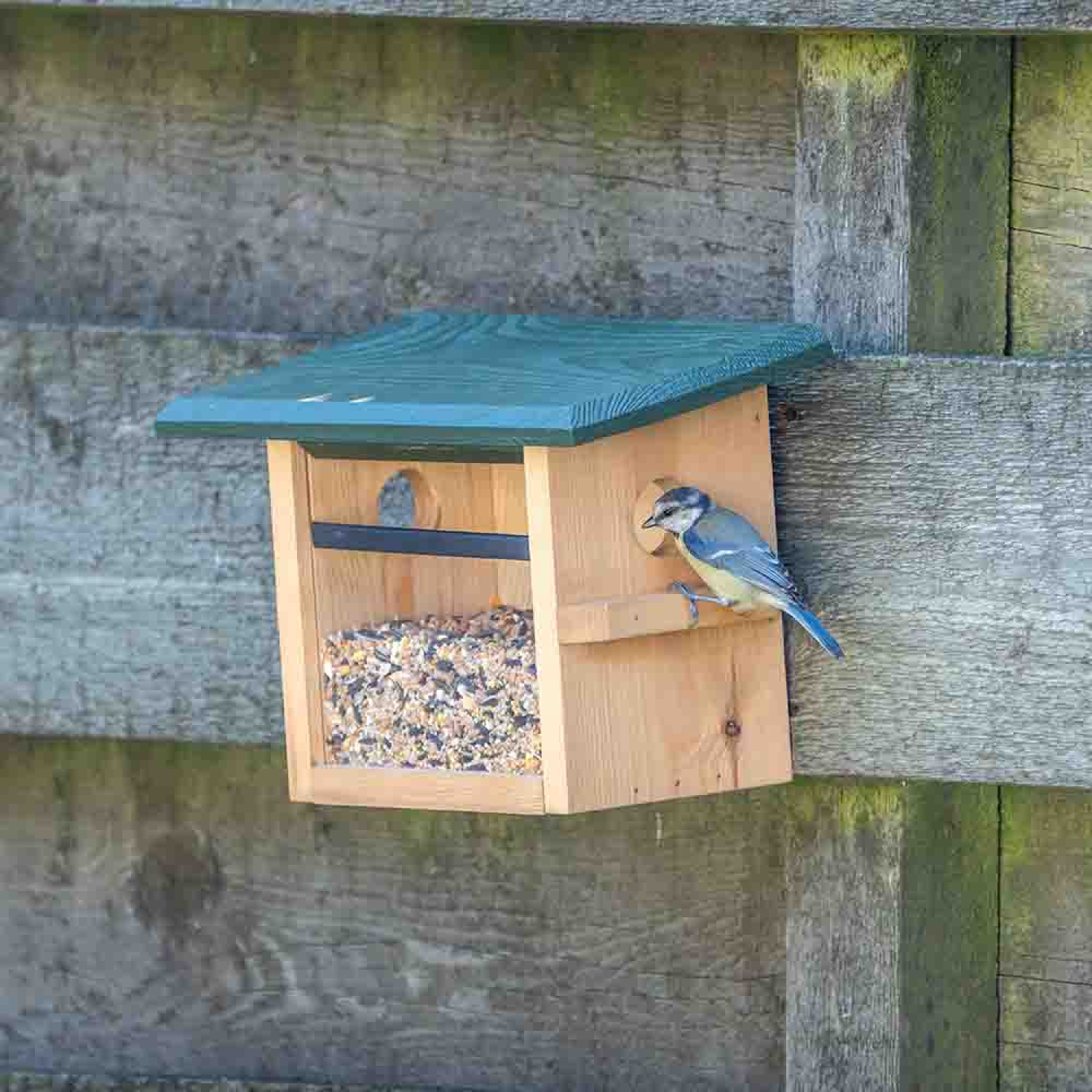 Wandfutterhaus Tilburg