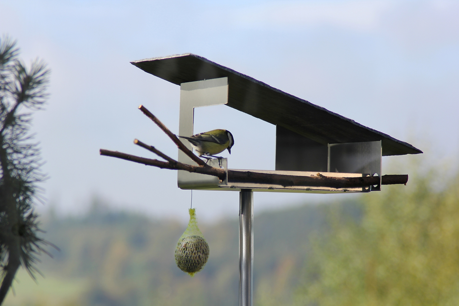 Vogelhaus mit Schieferdach VH-6 large