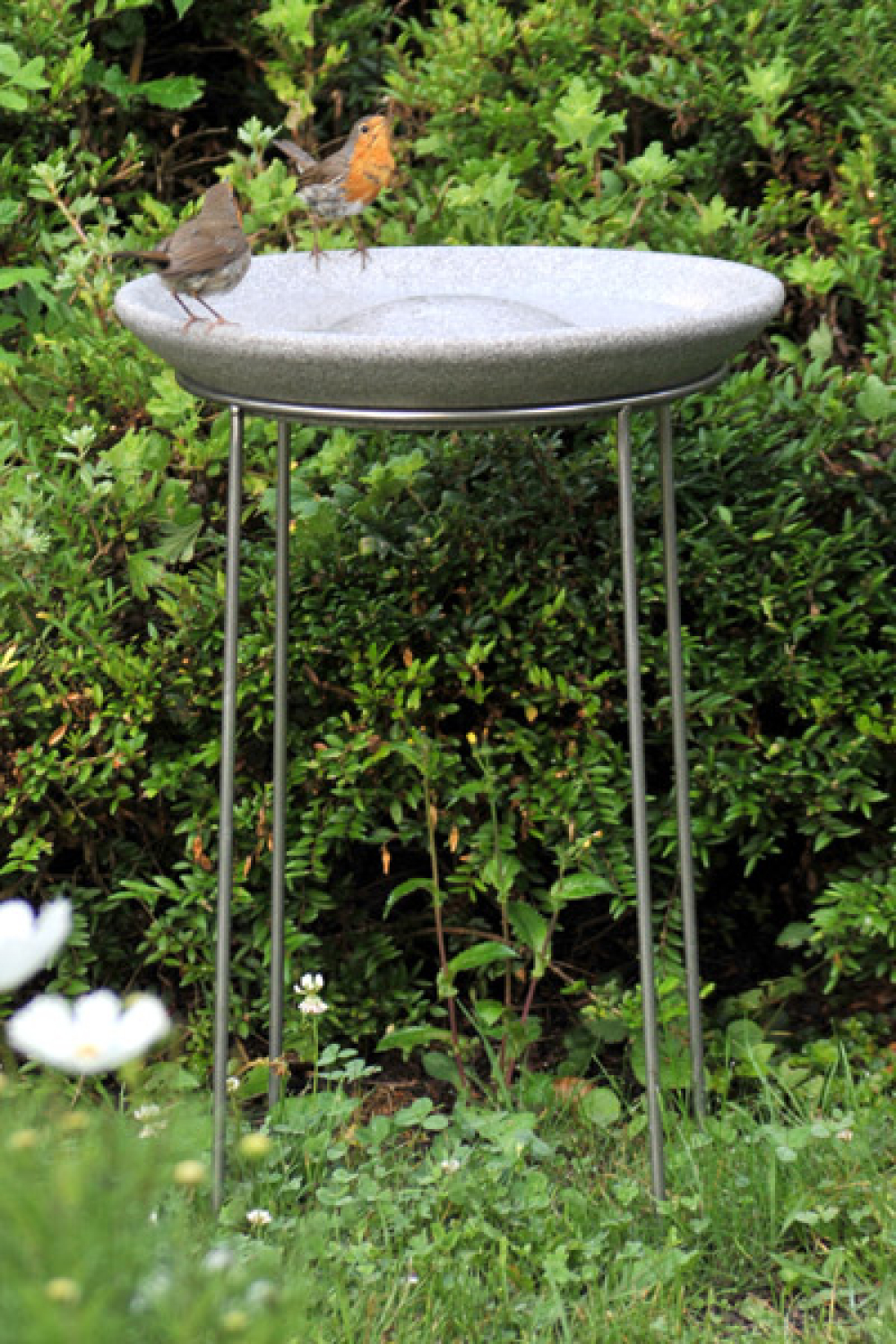 MUMTOP Vogeltränke Aus Glas – Mit Metallständer Für Garten, Terrasse & Balkon